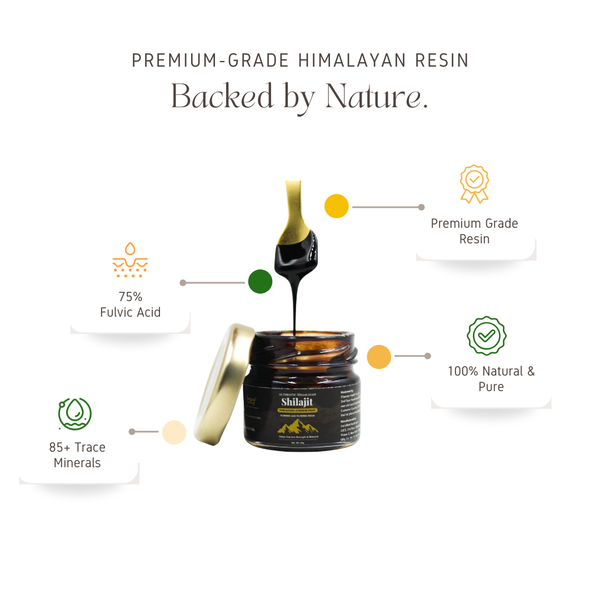 Himalayan Shilajit Resin