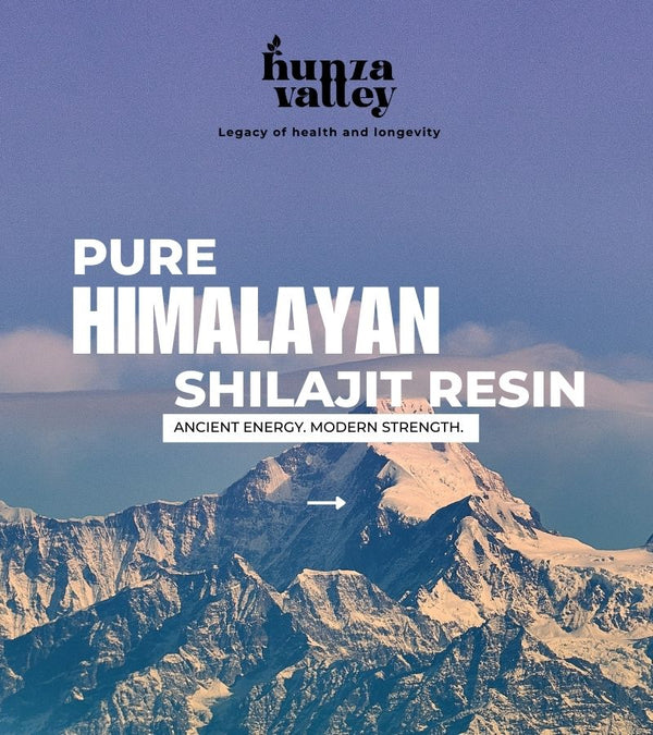 Himalayan Shilajit Resin