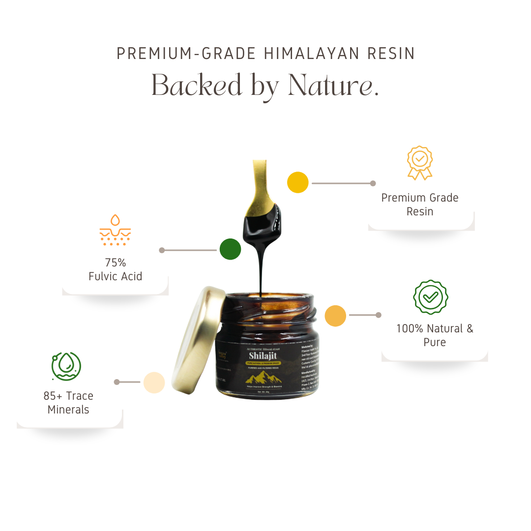 Himalayan Shilajit Resin