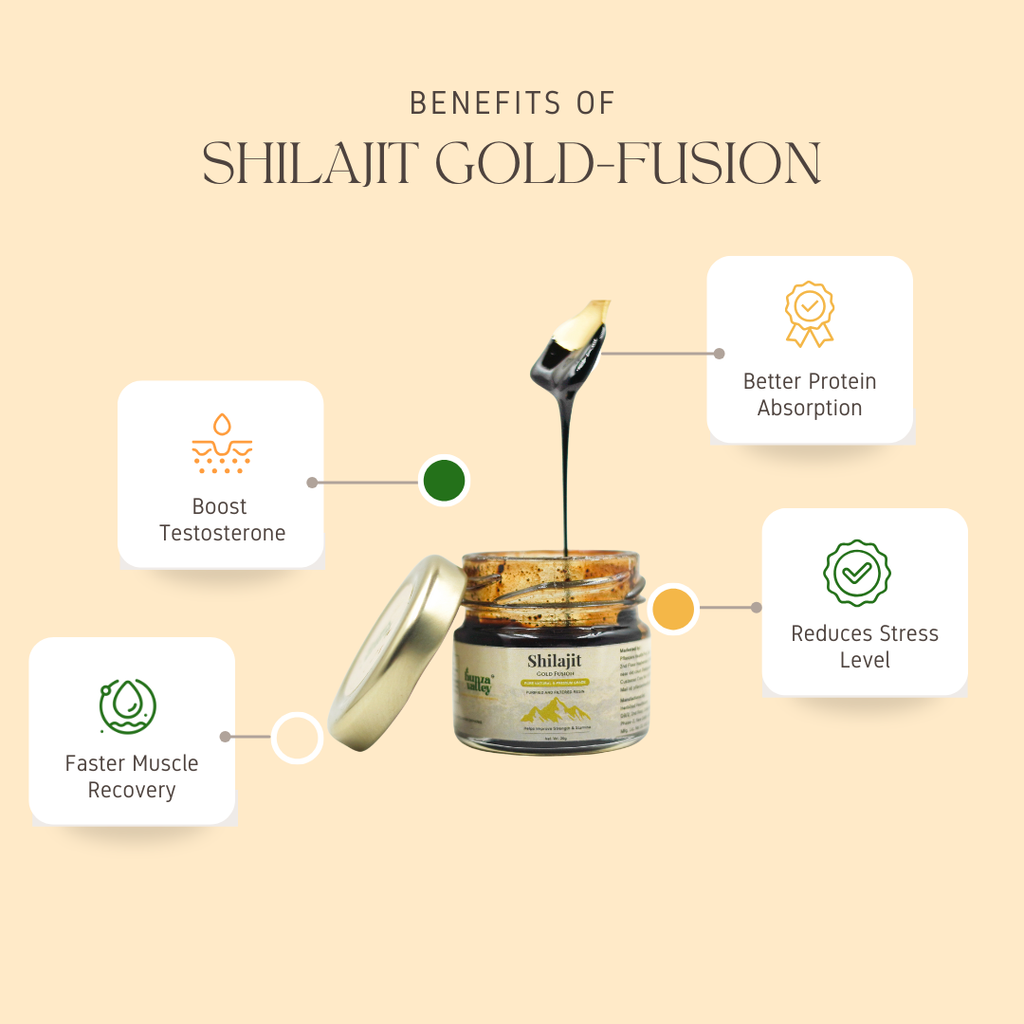 Himalayan Shilajit Resin (Infused with GOLD)