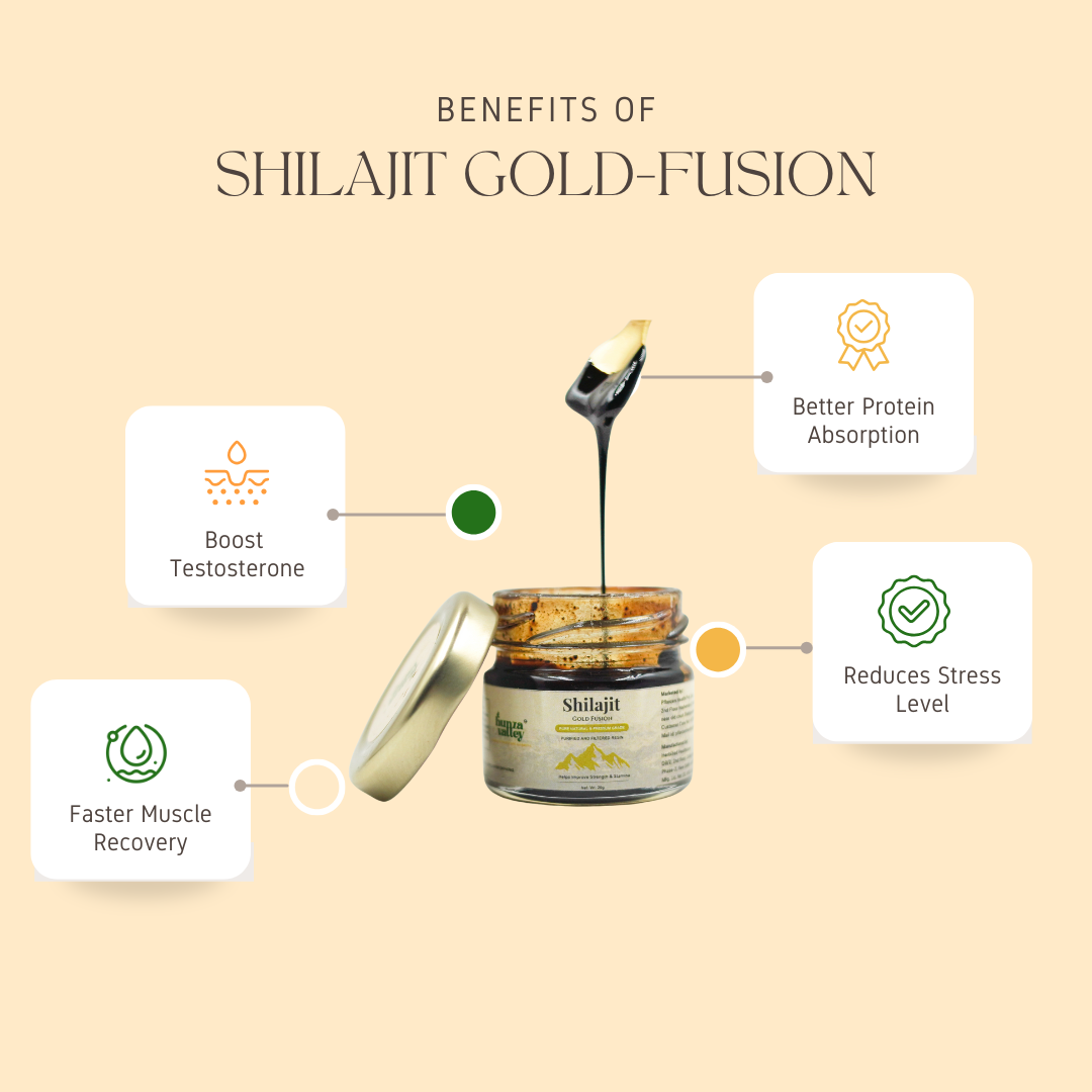 Himalayan Shilajit Resin (Infused with GOLD)