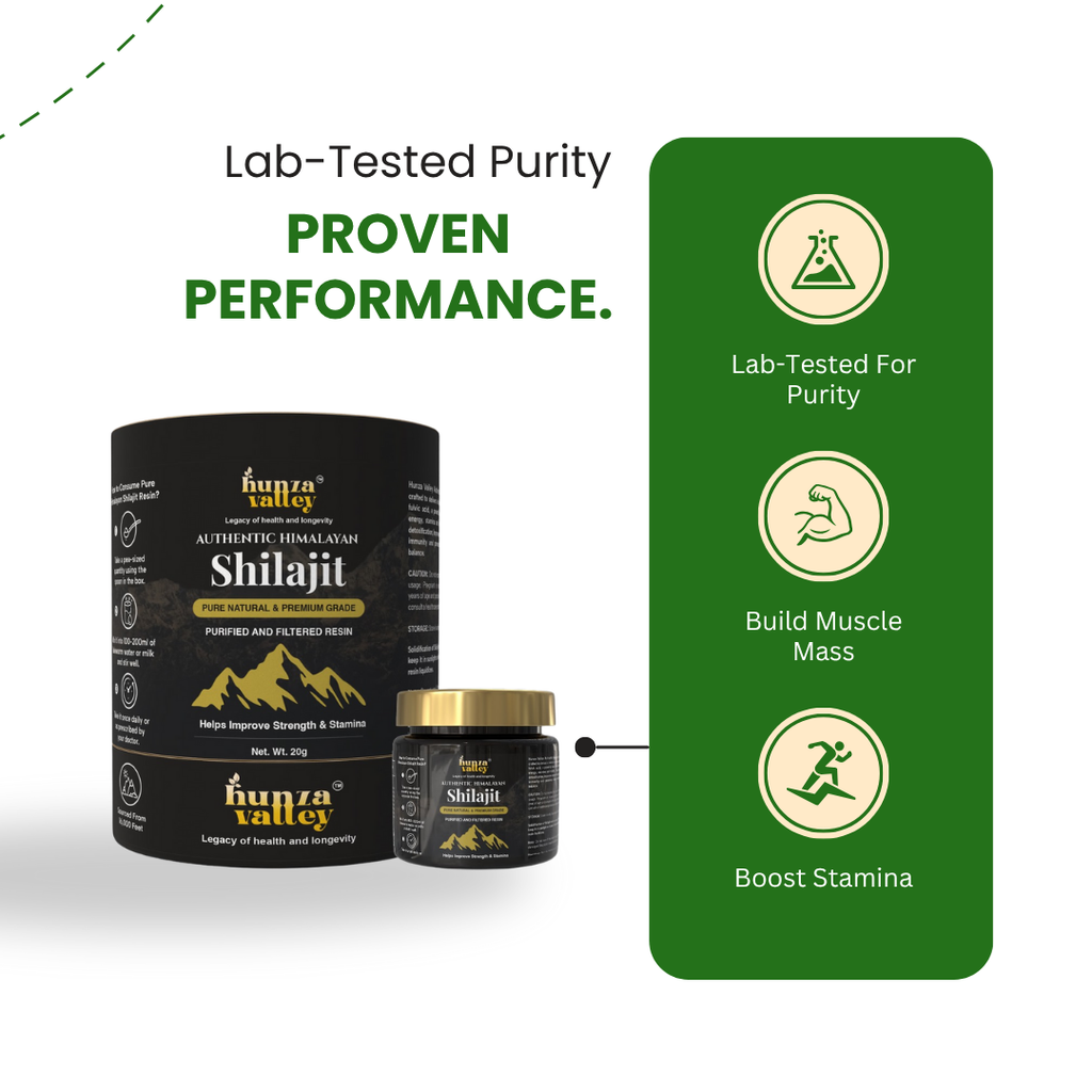 Himalayan Shilajit Resin